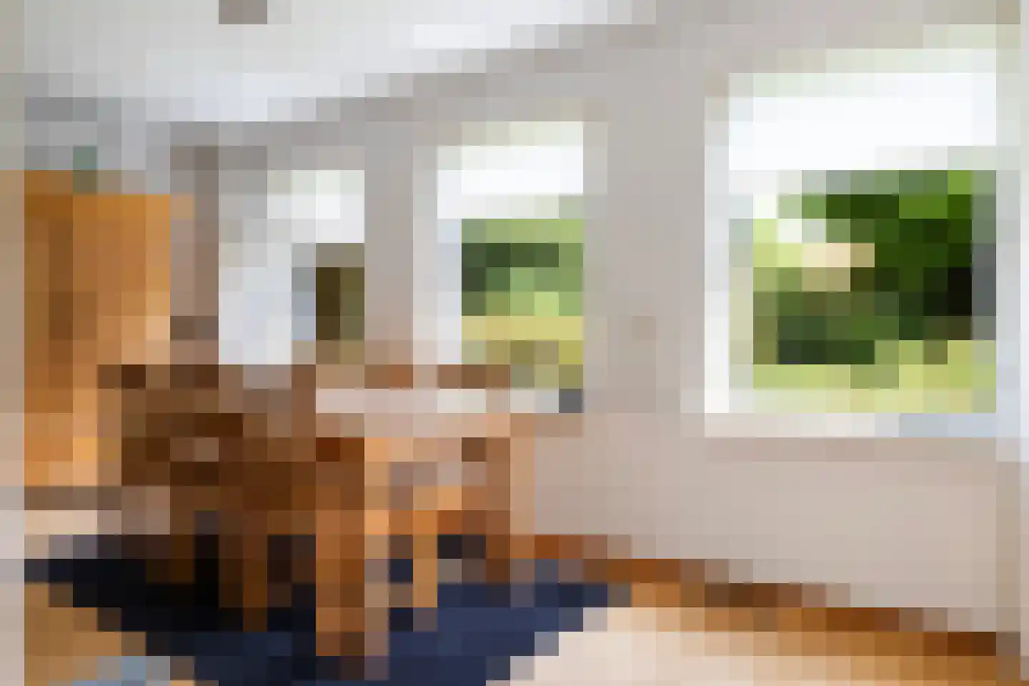 Grijze Kraai 11 Emmen thumbnail 19