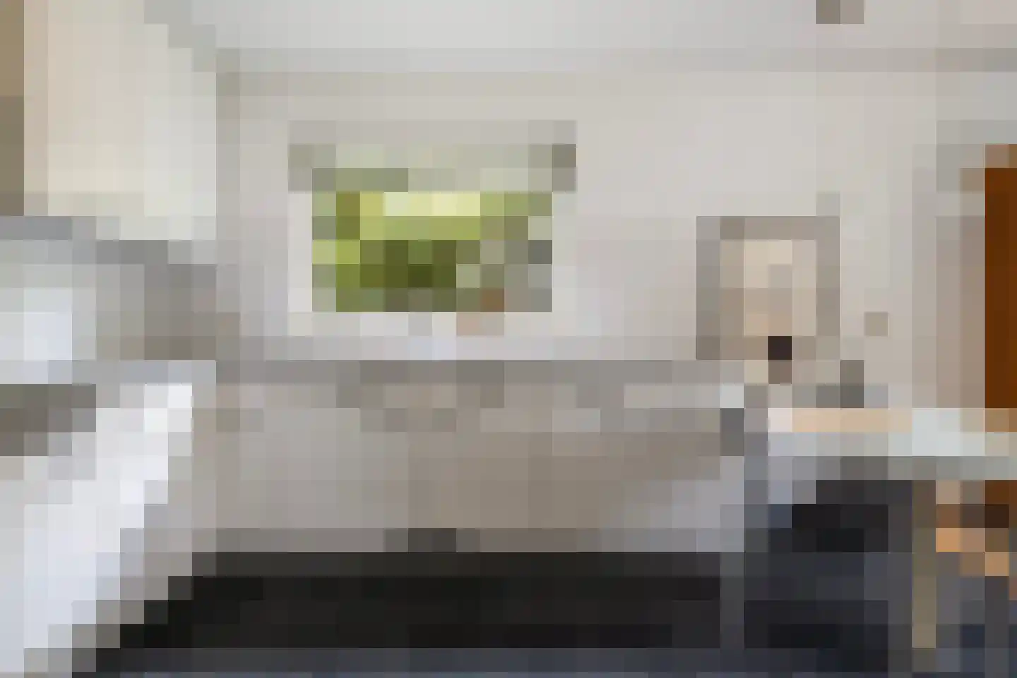 Grijze Kraai 11 Emmen thumbnail 20