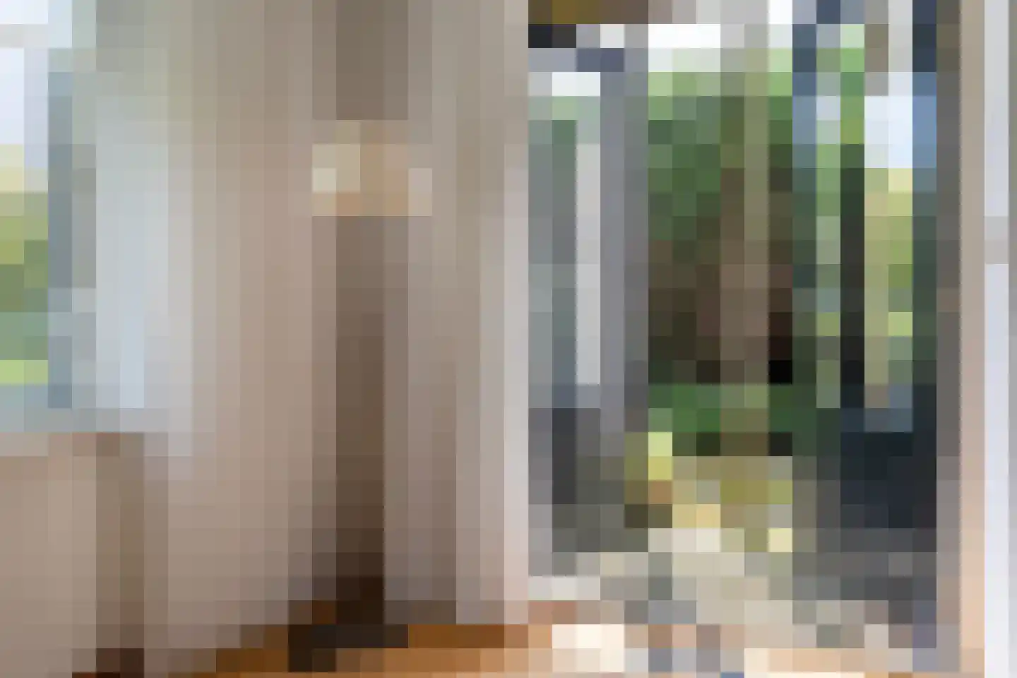 Grijze Kraai 11 Emmen thumbnail 21