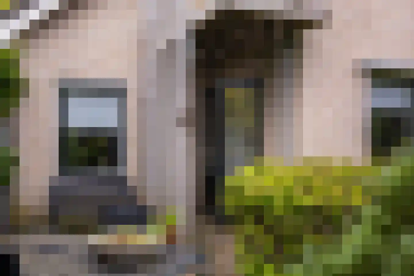 Grijze Kraai 11 Emmen thumbnail 22