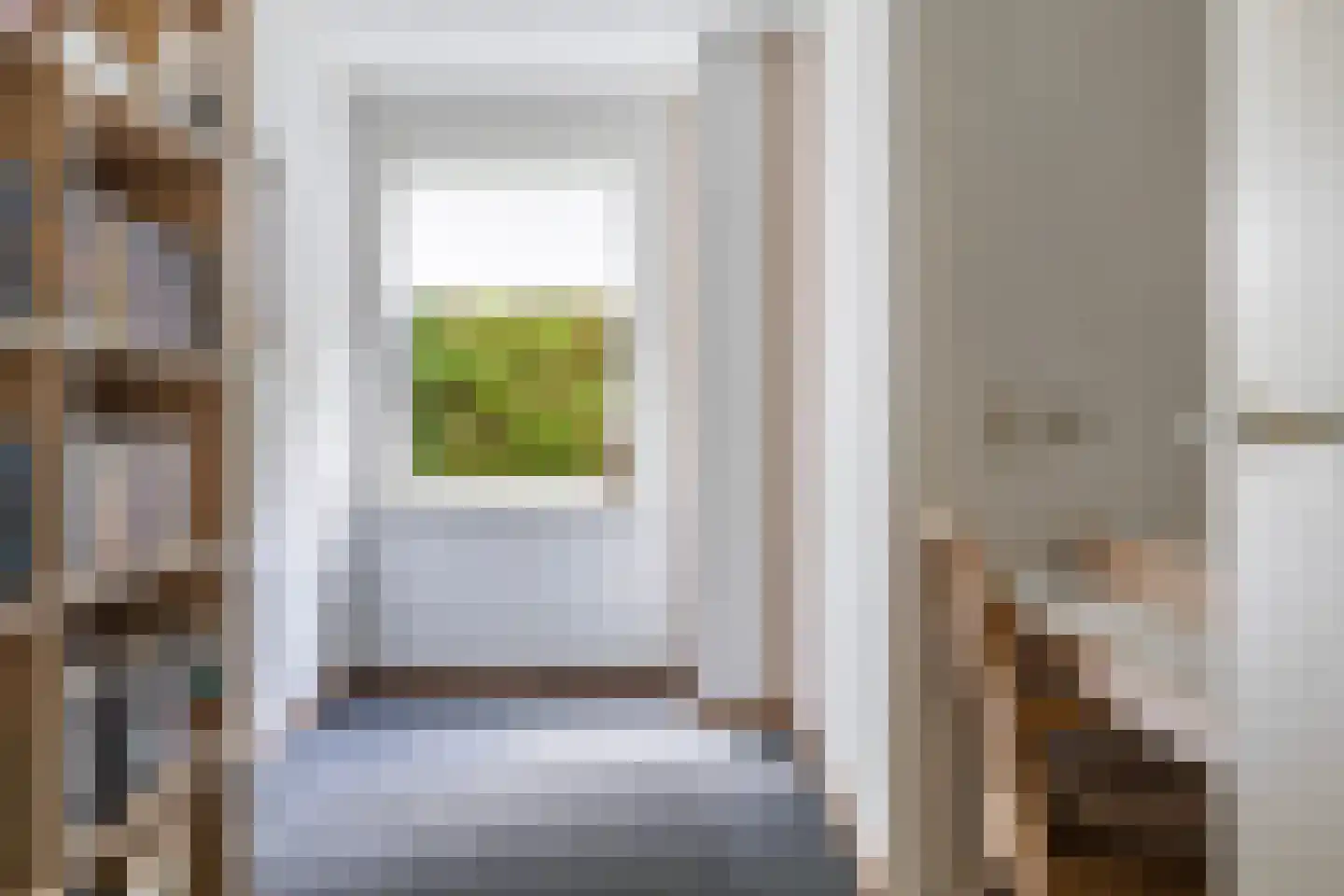 Grijze Kraai 11 Emmen thumbnail 30