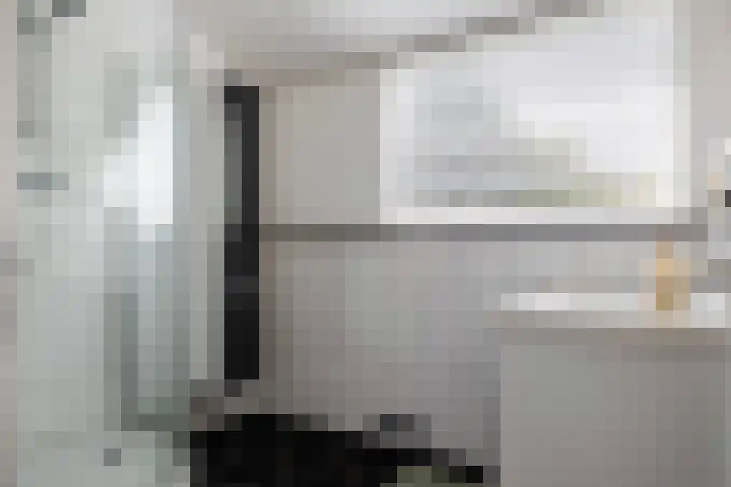 Grijze Kraai 11 Emmen thumbnail 32