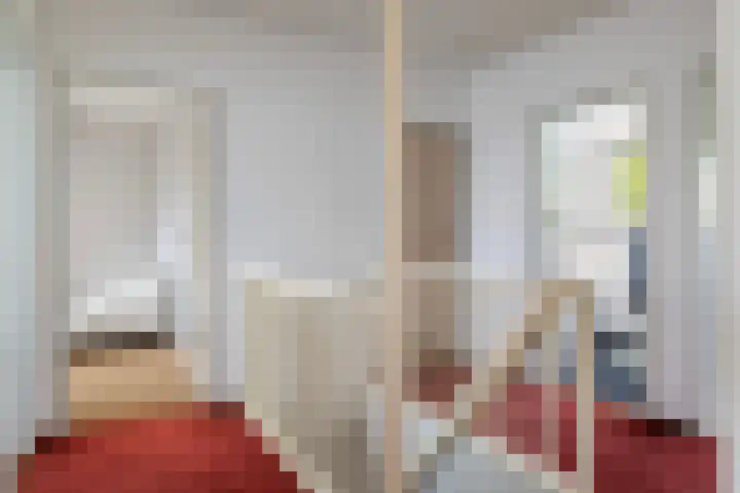 Grijze Kraai 11 Emmen thumbnail 34