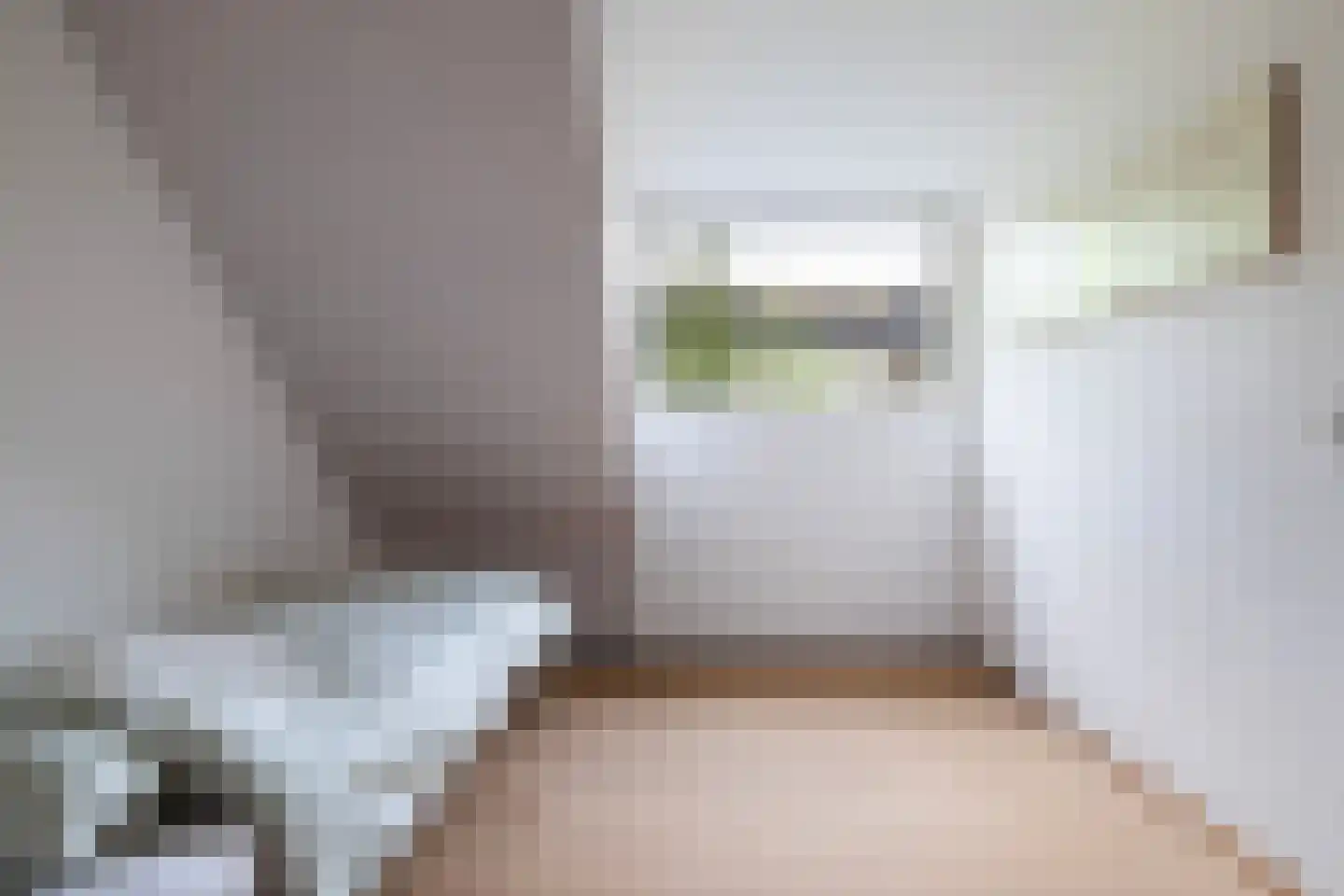 Grijze Kraai 11 Emmen thumbnail 36