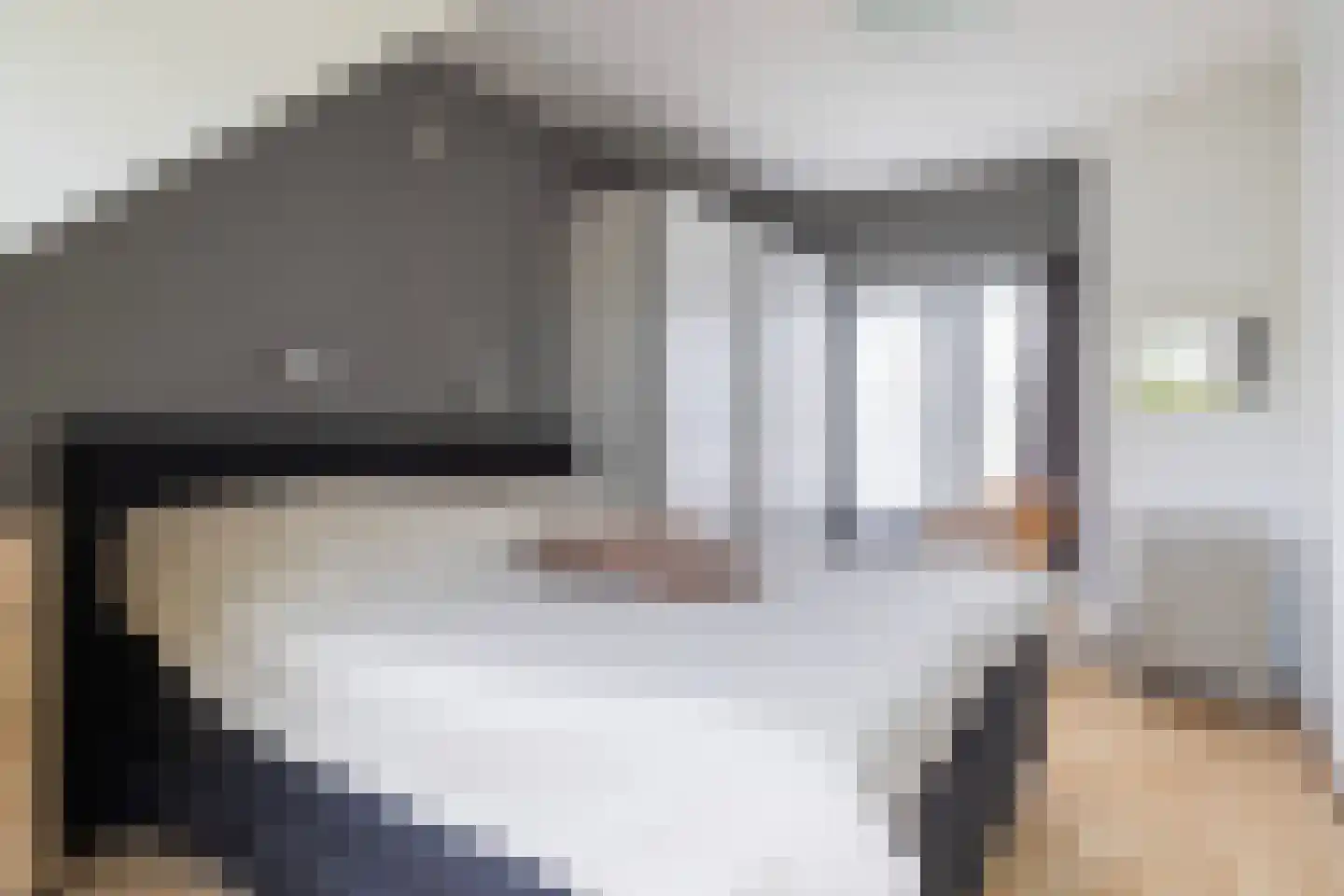 Grijze Kraai 11 Emmen thumbnail 40