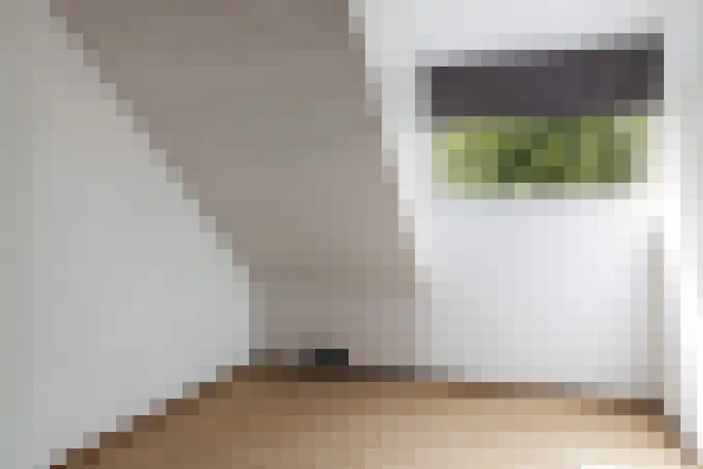 Grijze Kraai 11 Emmen thumbnail 43