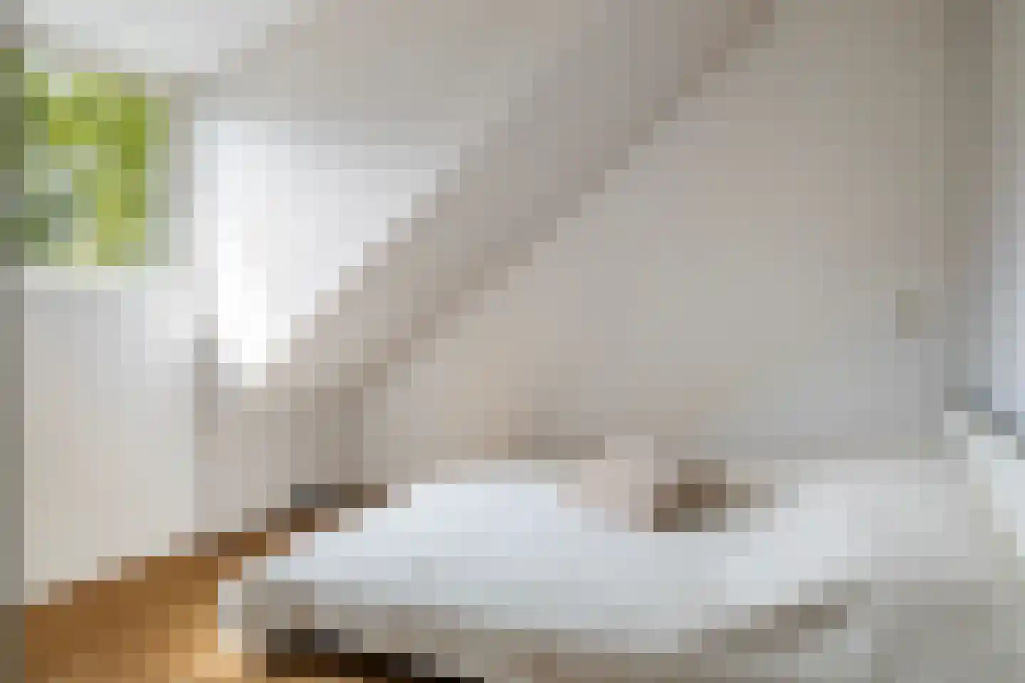 Grijze Kraai 11 Emmen thumbnail 44