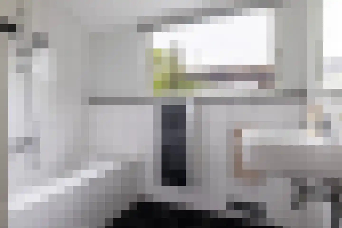Grijze Kraai 11 Emmen thumbnail 45