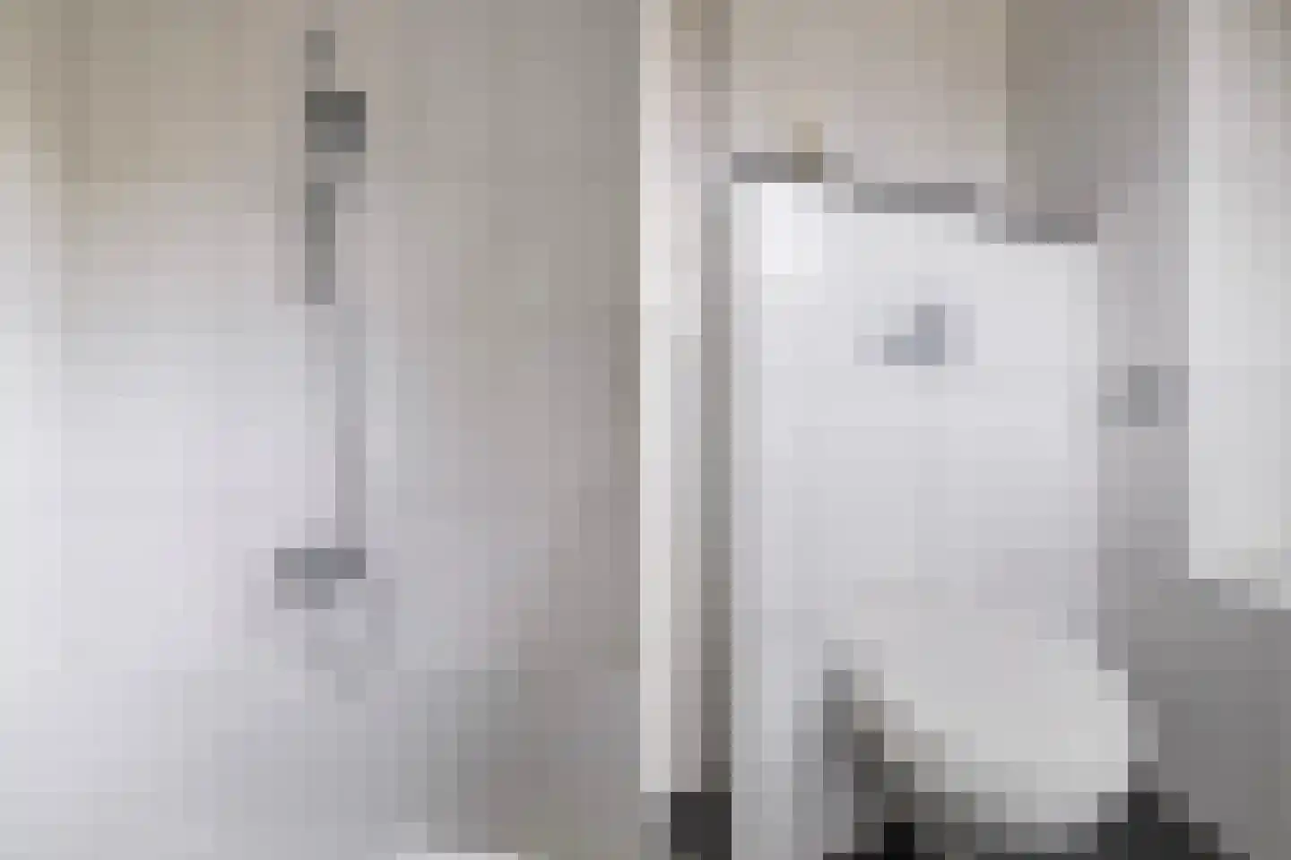 Grijze Kraai 11 Emmen thumbnail 47