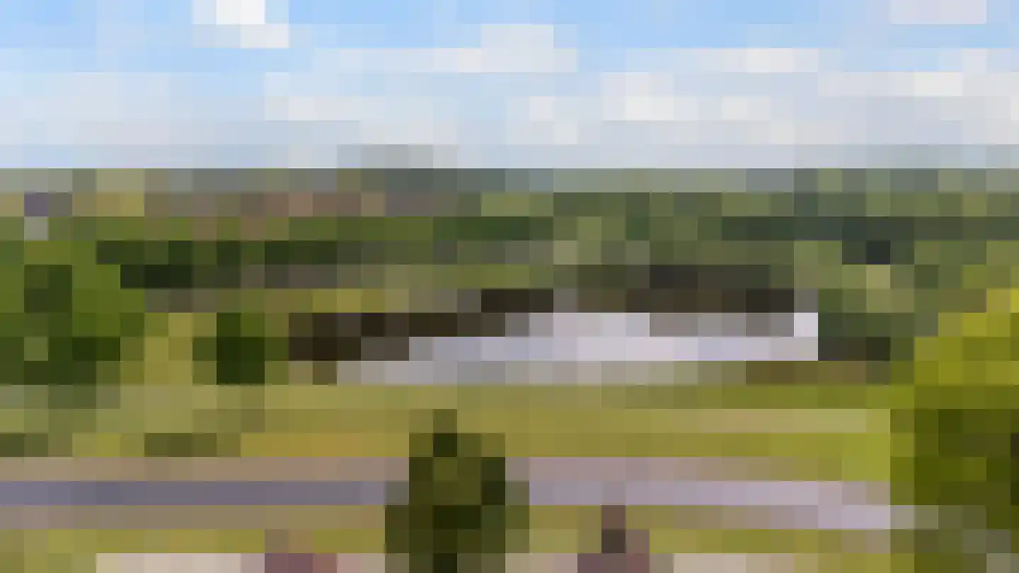 Grijze Kraai 11 Emmen thumbnail 49