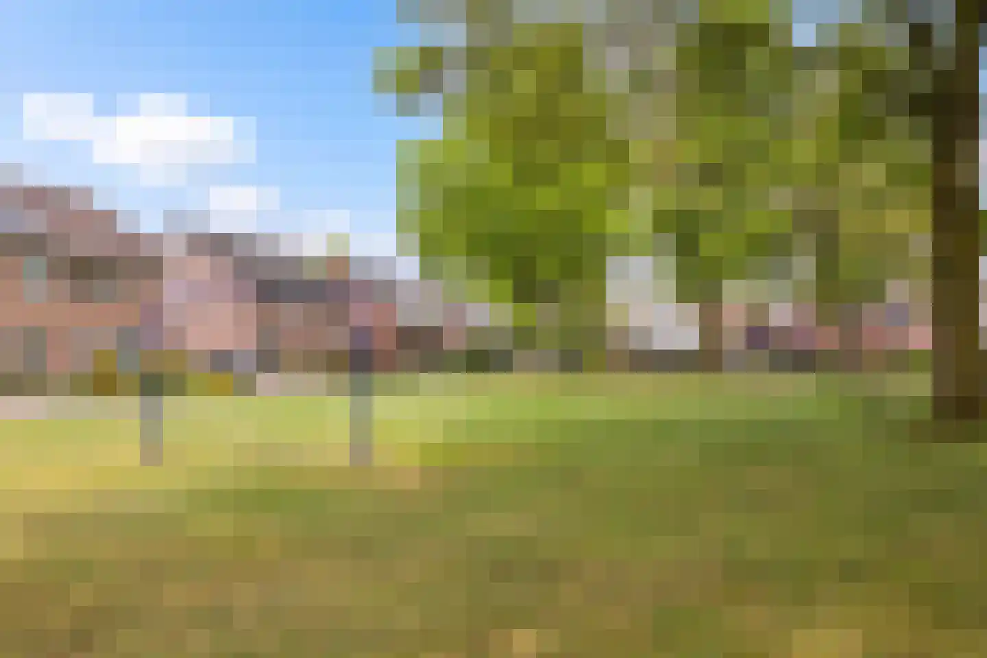 Grijze Kraai 11 Emmen thumbnail 7