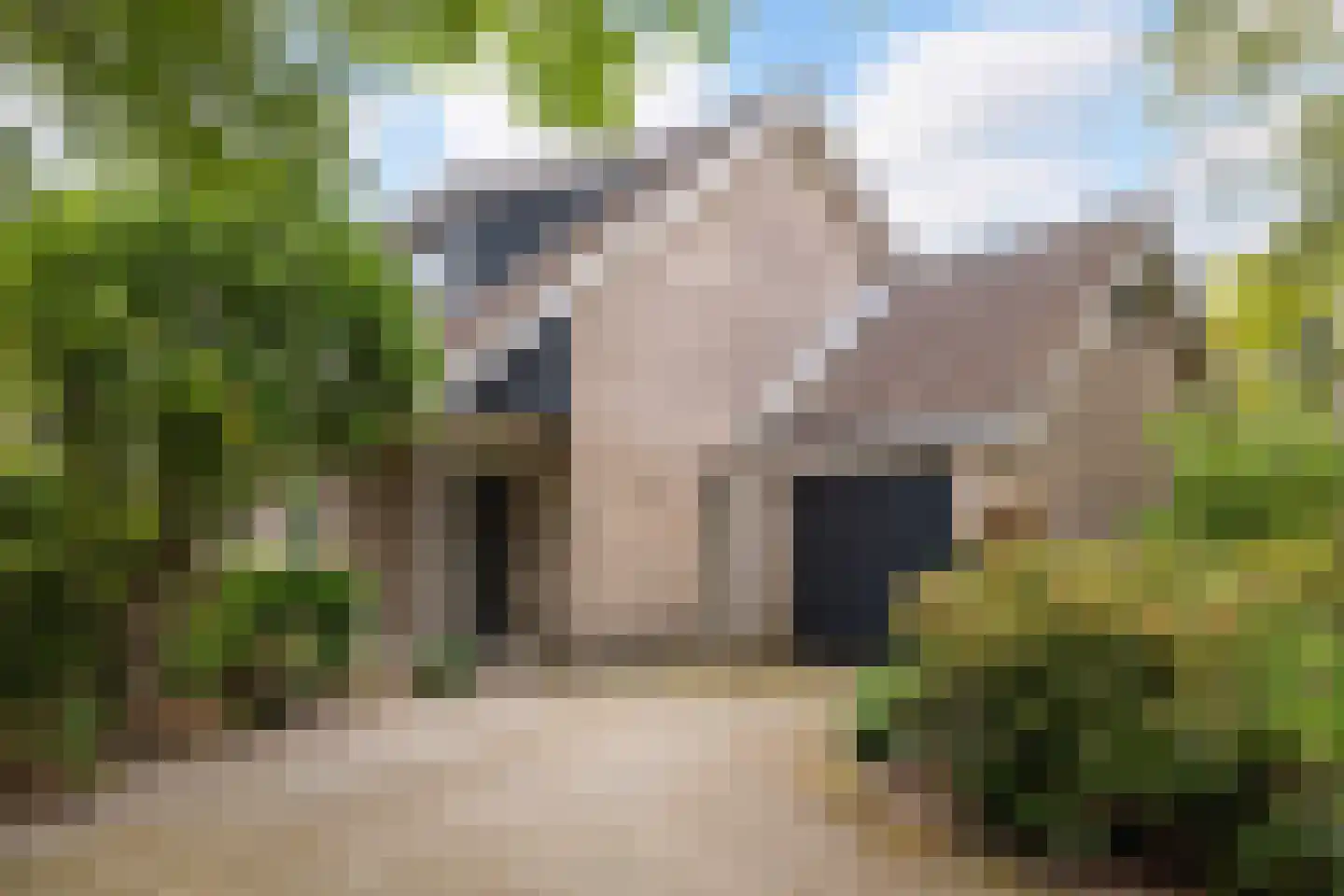 Grijze Kraai 11 Emmen thumbnail 8