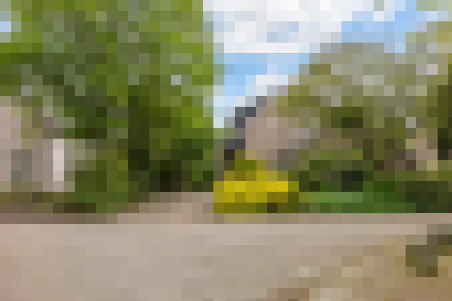Grijze Kraai 11 Emmen thumbnail 9