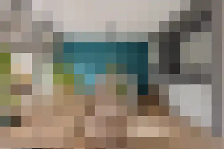Grijze Kraai 25 Emmen thumbnail 10