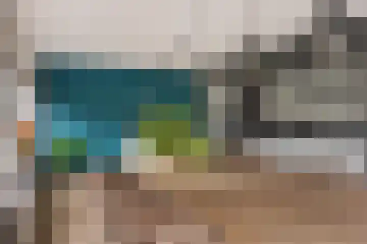 Grijze Kraai 25 Emmen thumbnail 11