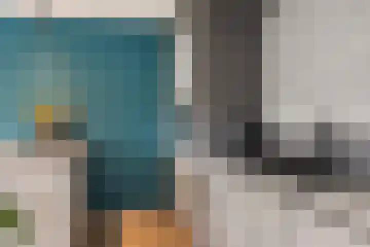 Grijze Kraai 25 Emmen thumbnail 12