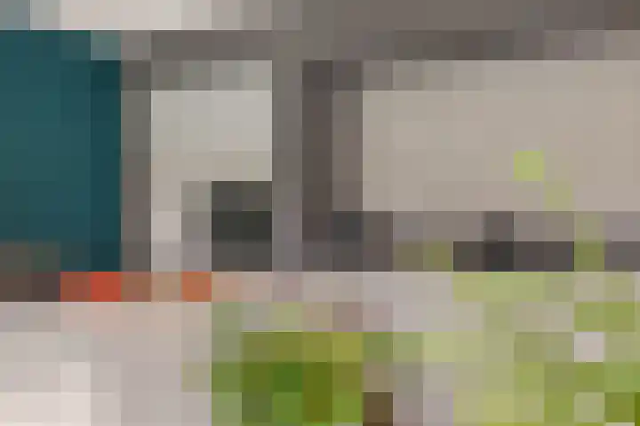 Grijze Kraai 25 Emmen thumbnail 13