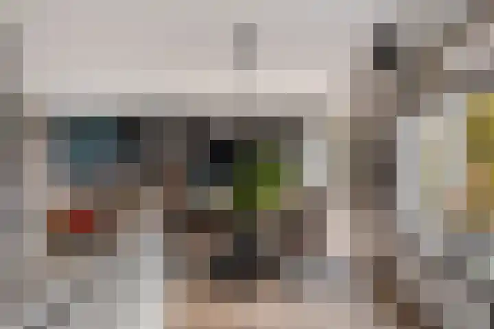 Grijze Kraai 25 Emmen thumbnail 14