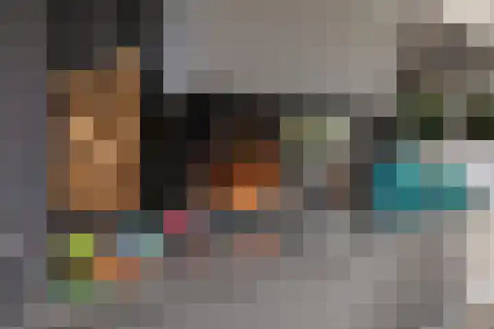 Grijze Kraai 25 Emmen thumbnail 16
