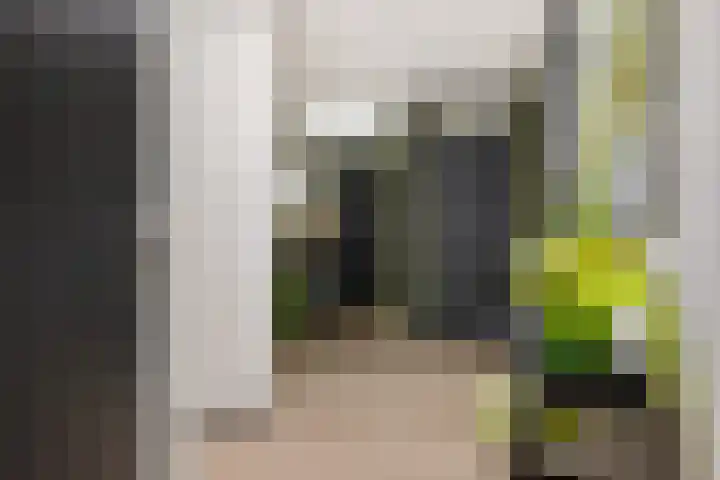 Grijze Kraai 25 Emmen thumbnail 17
