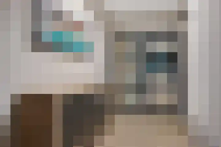 Grijze Kraai 25 Emmen thumbnail 18