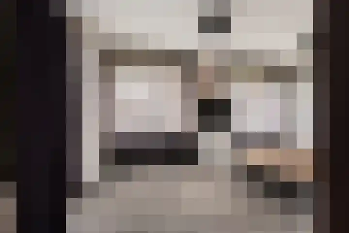 Grijze Kraai 25 Emmen thumbnail 19