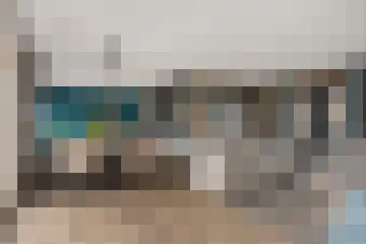 Grijze Kraai 25 Emmen foto 2