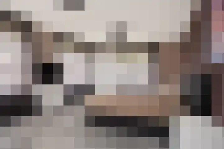 Grijze Kraai 25 Emmen thumbnail 20