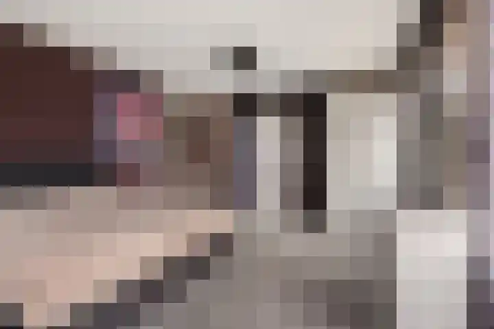 Grijze Kraai 25 Emmen thumbnail 21