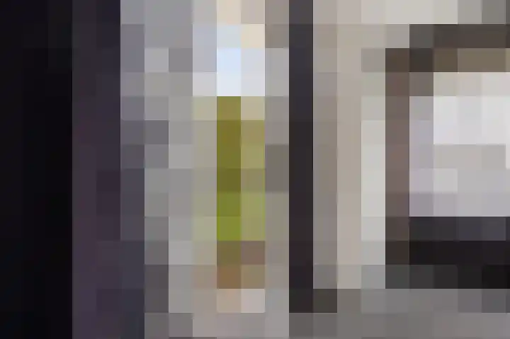 Grijze Kraai 25 Emmen thumbnail 22