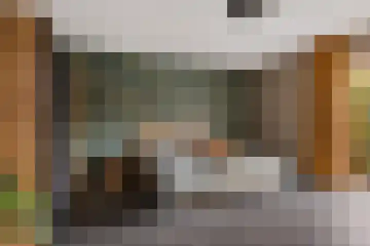 Grijze Kraai 25 Emmen thumbnail 23