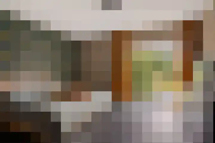 Grijze Kraai 25 Emmen thumbnail 24