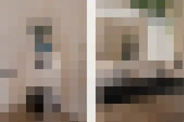 Grijze Kraai 25 Emmen thumbnail 25