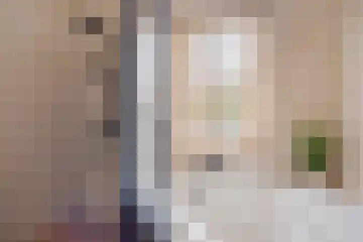 Grijze Kraai 25 Emmen thumbnail 26
