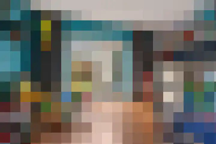 Grijze Kraai 25 Emmen thumbnail 27