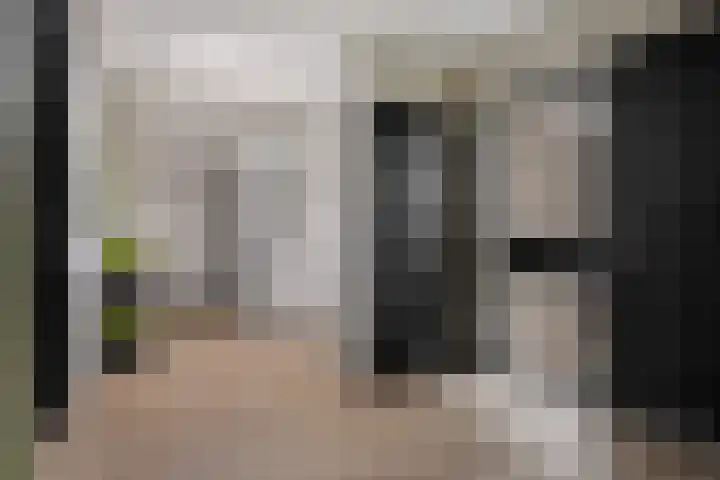 Grijze Kraai 25 Emmen thumbnail 30