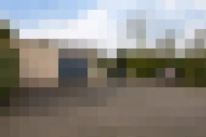 Grijze Kraai 25 Emmen thumbnail 34