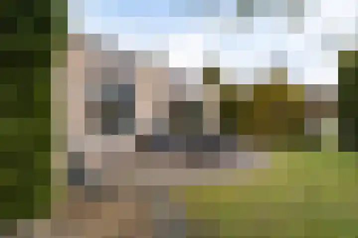 Grijze Kraai 25 Emmen thumbnail 39