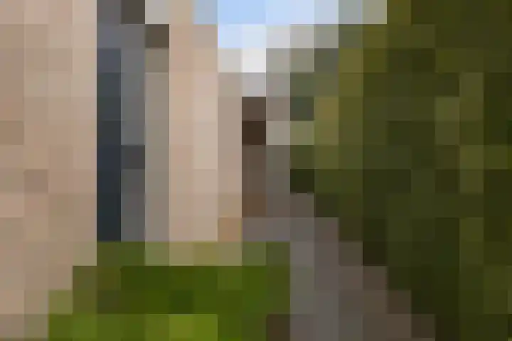 Grijze Kraai 25 Emmen thumbnail 47