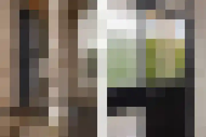 Grijze Kraai 25 Emmen thumbnail 5