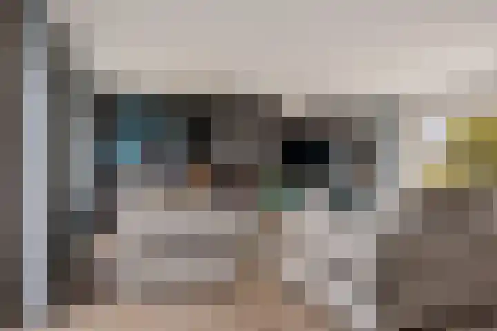 Grijze Kraai 25 Emmen thumbnail 7