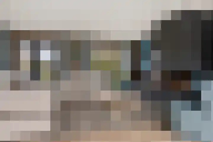 Grijze Kraai 25 Emmen thumbnail 8