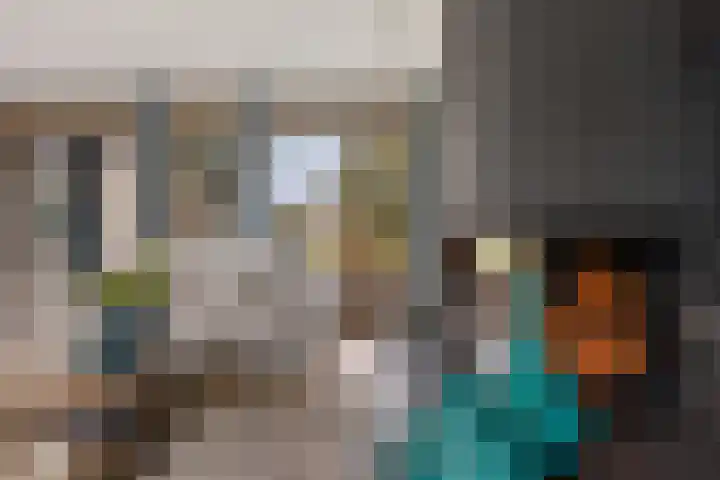 Grijze Kraai 25 Emmen thumbnail 9