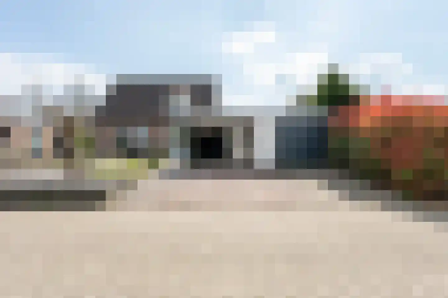 Grijze Kraai 26 Emmen