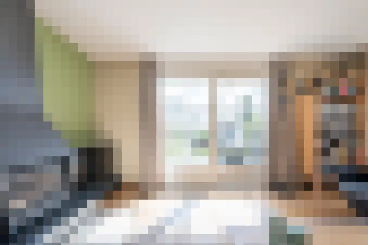 Grijze Kraai 26 Emmen thumbnail 10