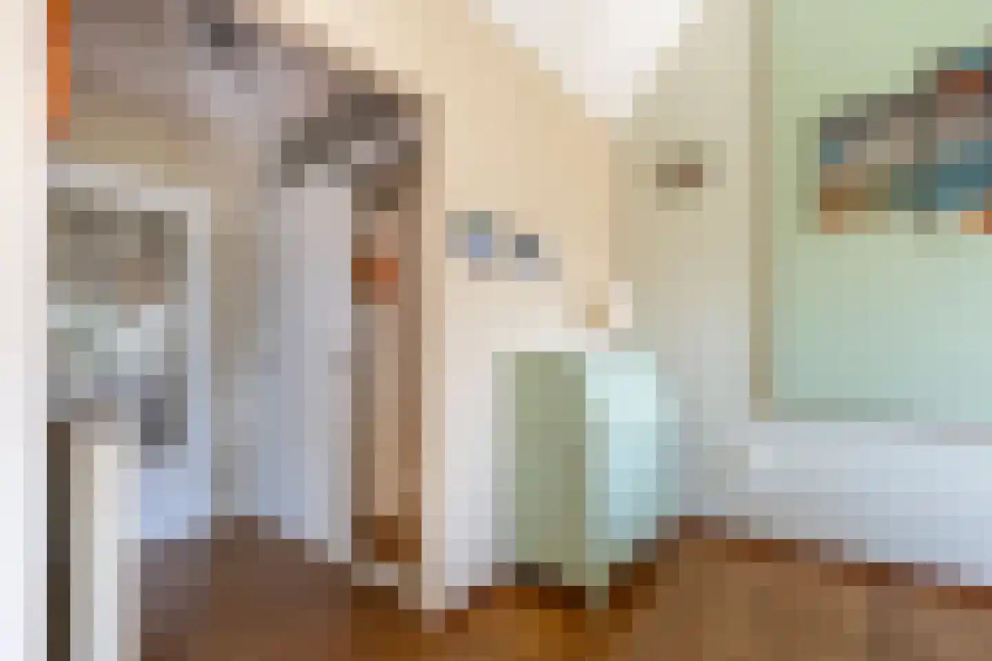 Grijze Kraai 26 Emmen thumbnail 12