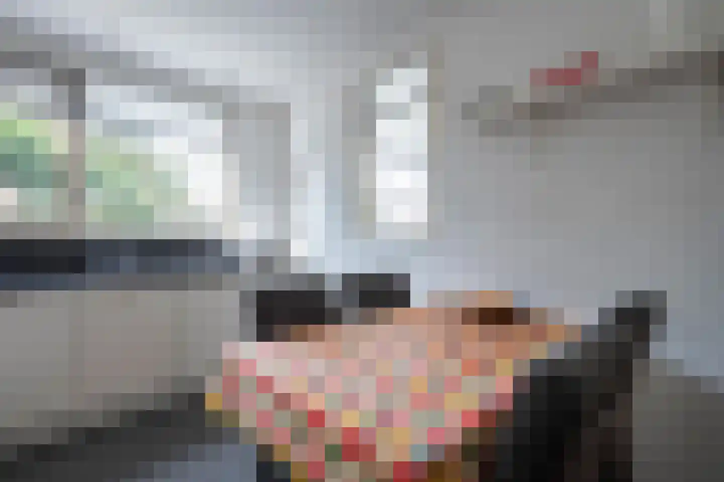 Grijze Kraai 26 Emmen thumbnail 13