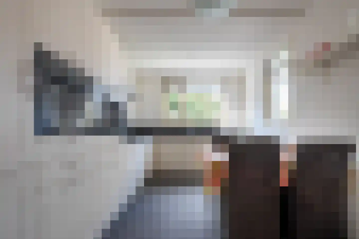 Grijze Kraai 26 Emmen thumbnail 14