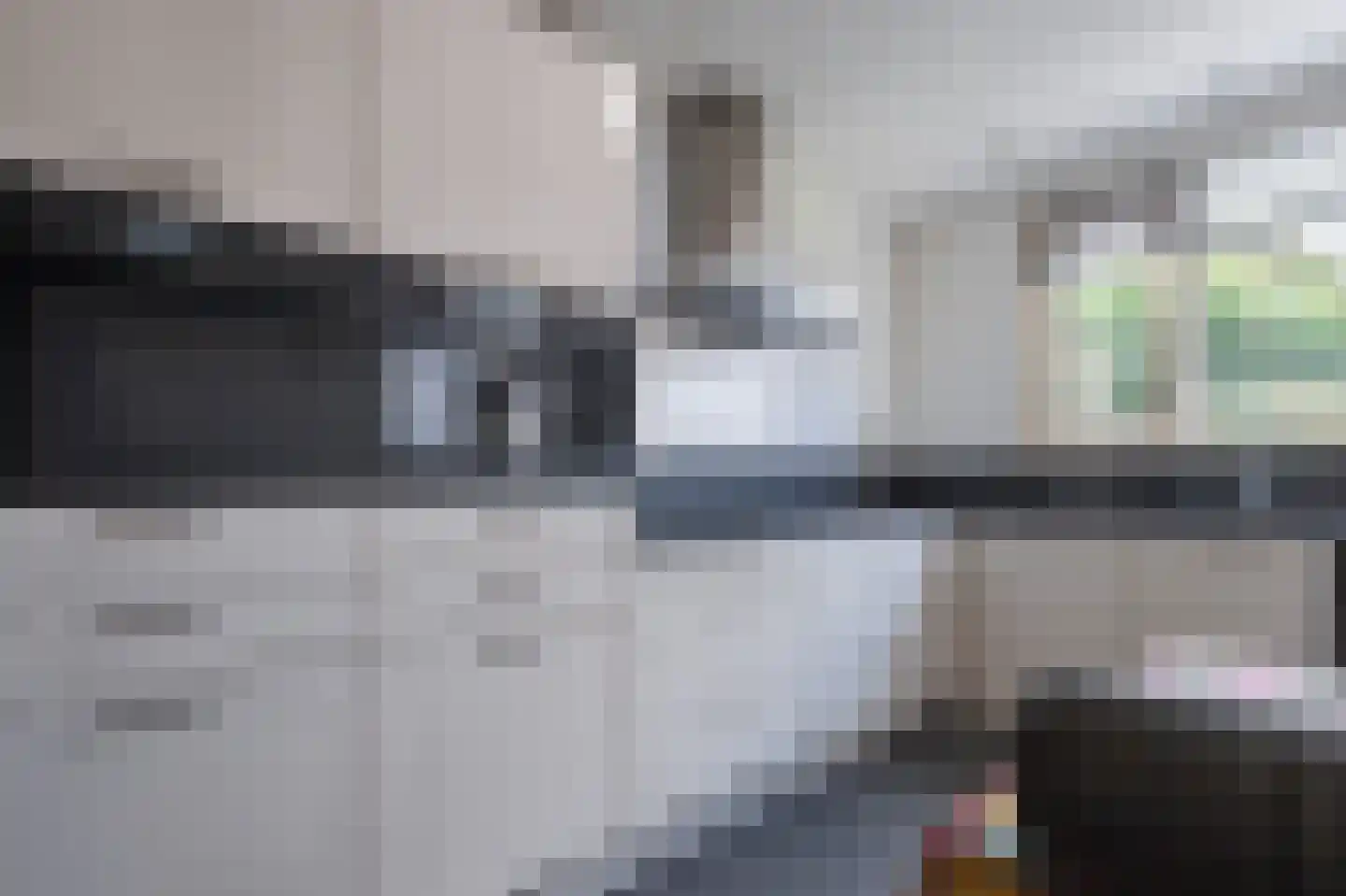 Grijze Kraai 26 Emmen thumbnail 15