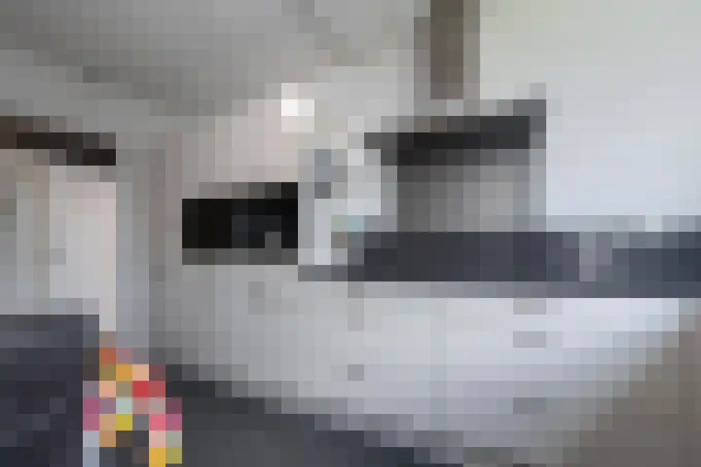 Grijze Kraai 26 Emmen thumbnail 16